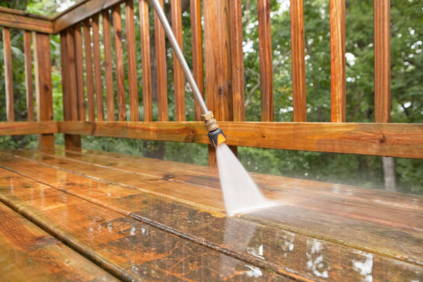 Professional Pressure Washing Services in Rancho Alegre, TX
